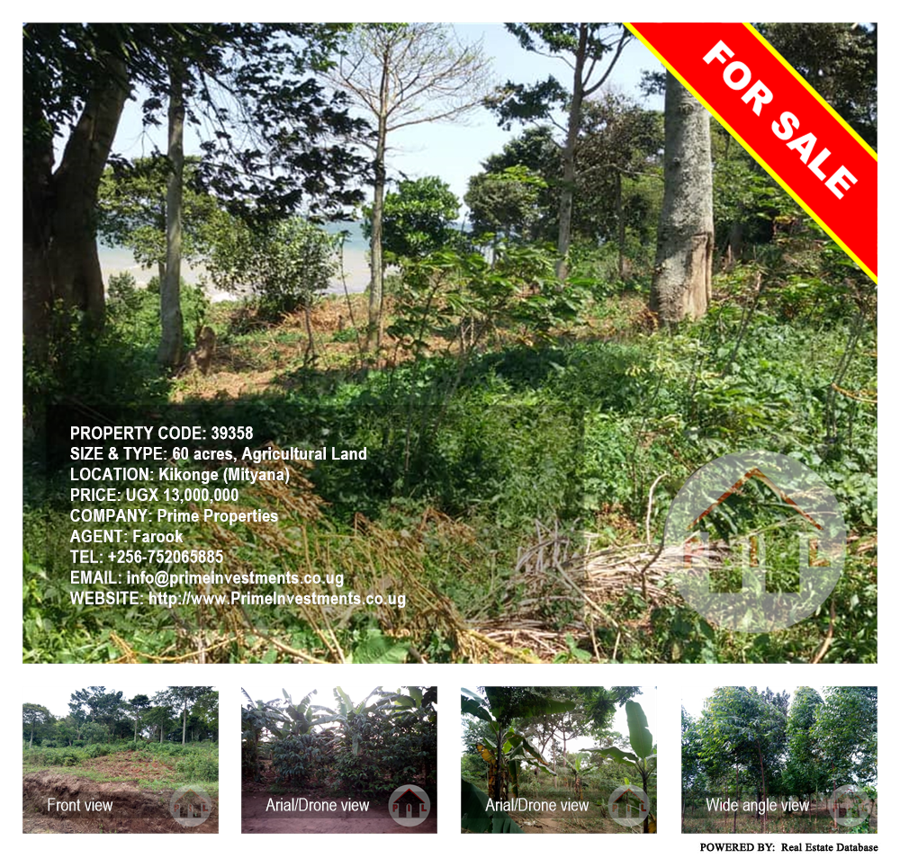 Agricultural Land  for sale in Kikonge Mityana Uganda, code: 39358