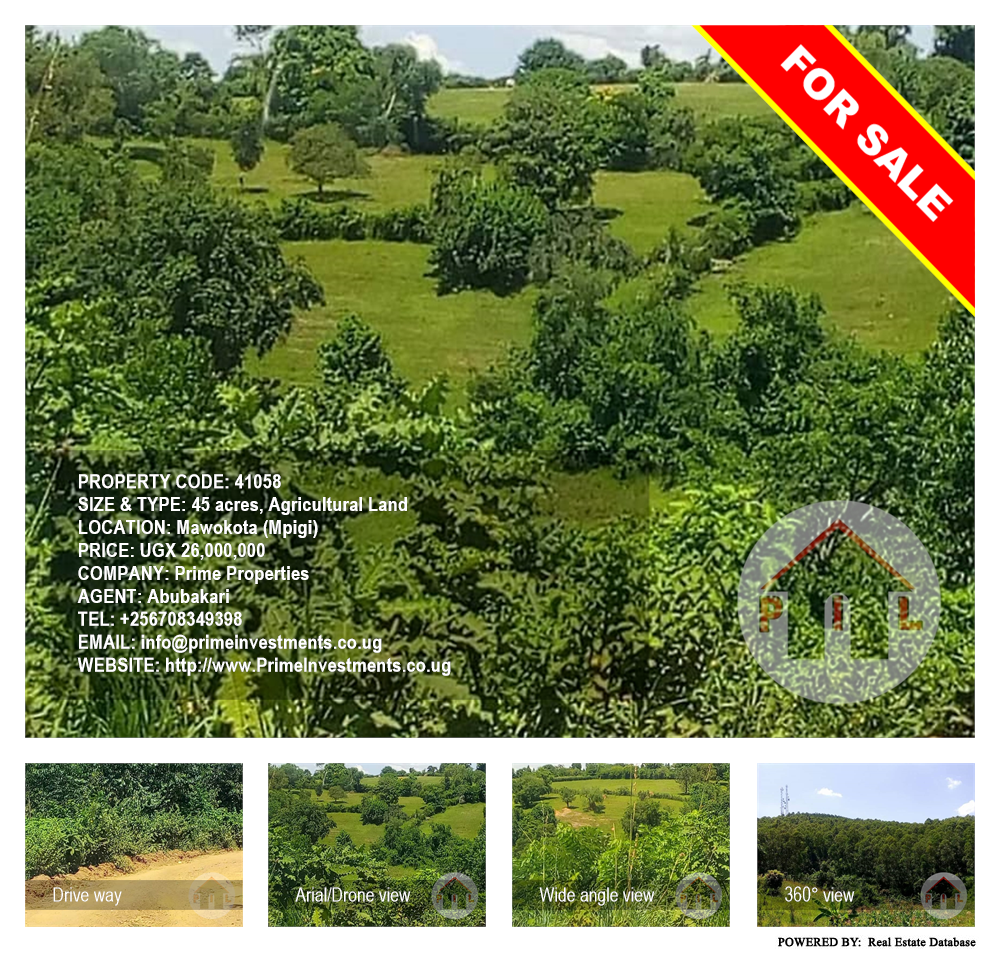 Agricultural Land  for sale in Mawokota Mpigi Uganda, code: 41058