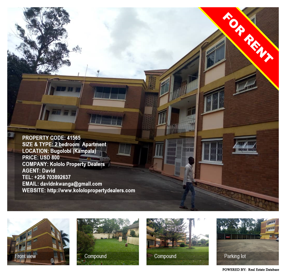 2 bedroom Apartment  for rent in Bugoloobi Kampala Uganda, code: 41565