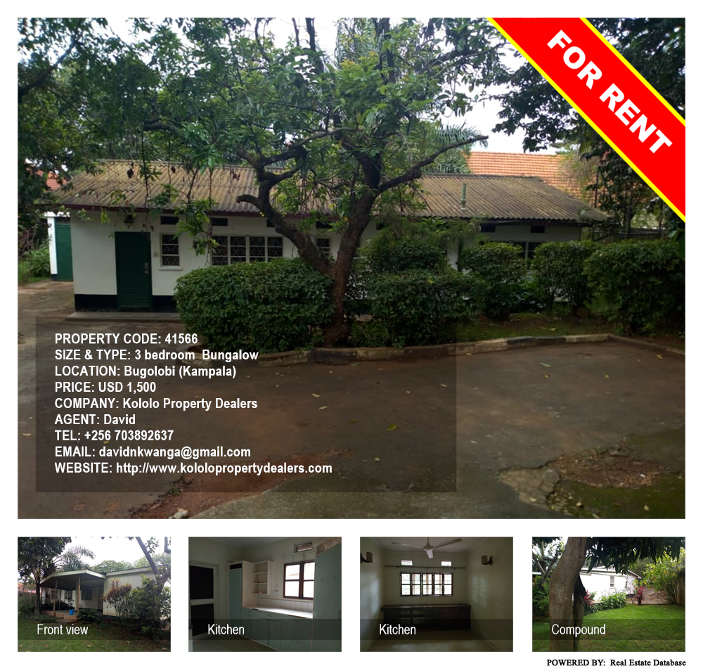 3 bedroom Bungalow  for rent in Bugoloobi Kampala Uganda, code: 41566