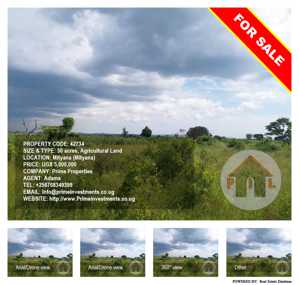 Agricultural Land  for sale in Mityana Mityana Uganda, code: 42734