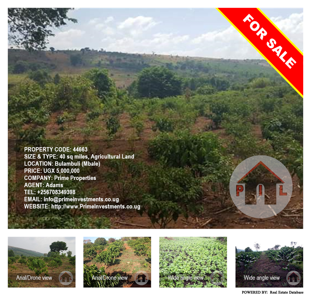 Agricultural Land  for sale in Bulambuli Mbaale Uganda, code: 44663