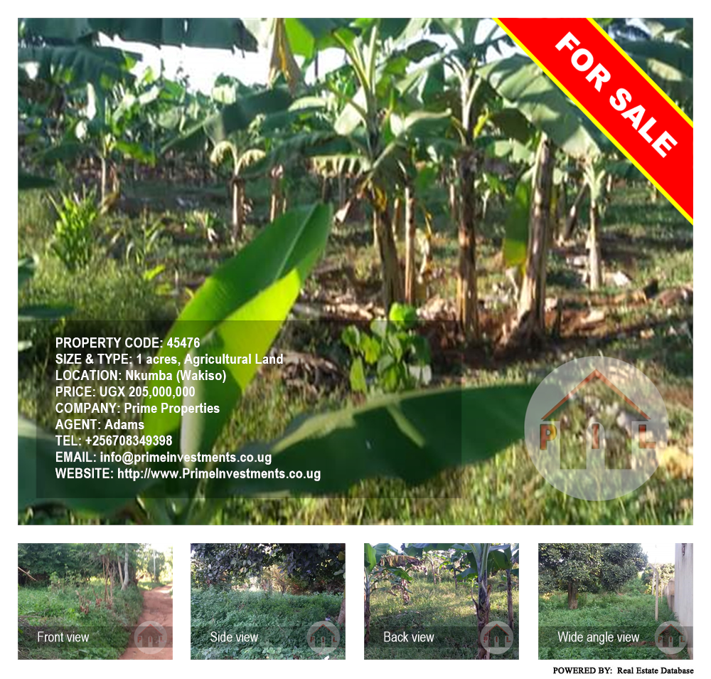 Agricultural Land  for sale in Nkumba Wakiso Uganda, code: 45476