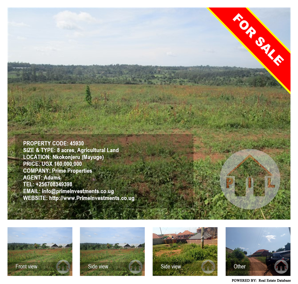 Agricultural Land  for sale in Nkokonjeru Mayuge Uganda, code: 45930