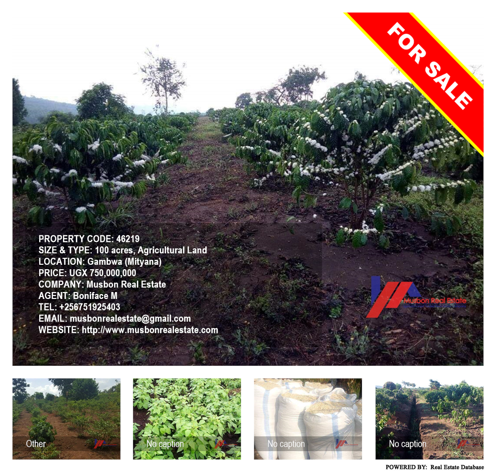 Agricultural Land  for sale in Gambwa Mityana Uganda, code: 46219