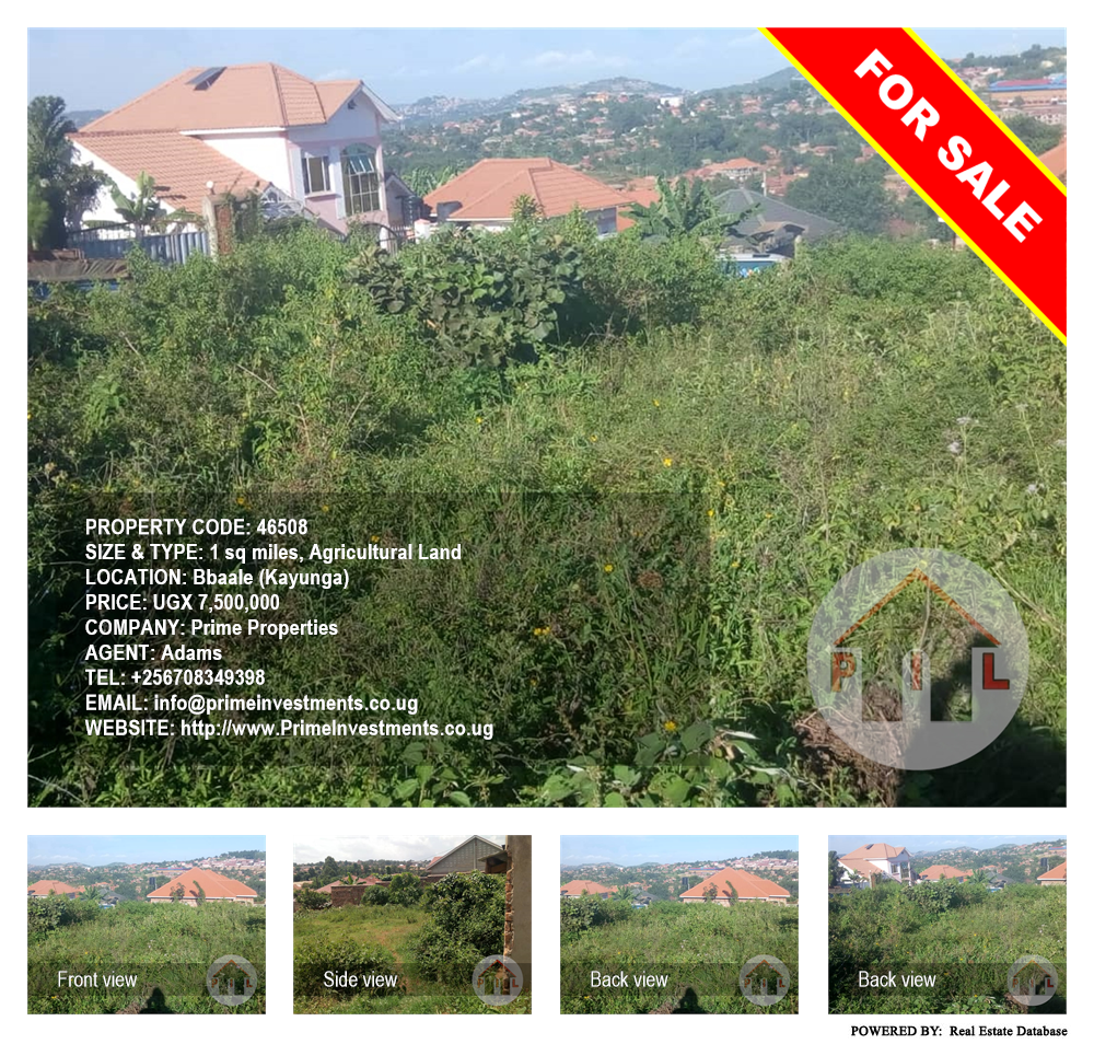 Agricultural Land  for sale in Bbaale Kayunga Uganda, code: 46508