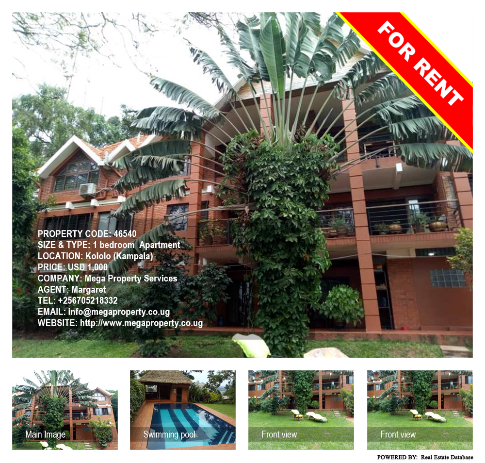 1 bedroom Apartment  for rent in Kololo Kampala Uganda, code: 46540