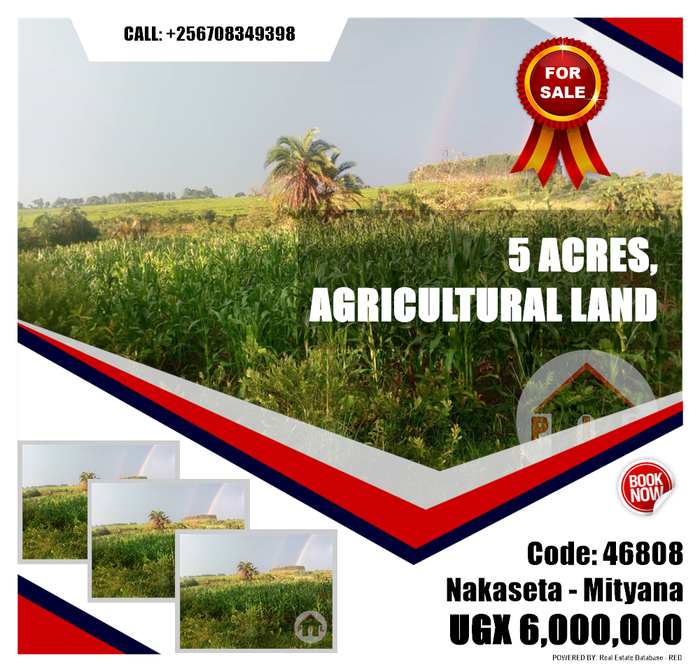 Agricultural Land  for sale in Nakaseta Mityana Uganda, code: 46808