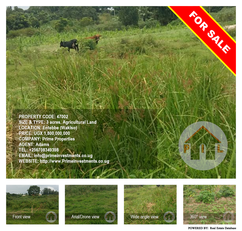 Agricultural Land  for sale in Entebbe Wakiso Uganda, code: 47002