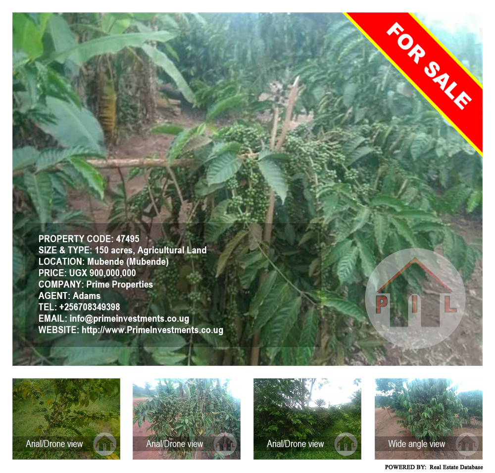 Agricultural Land  for sale in Mubende Mubende Uganda, code: 47495