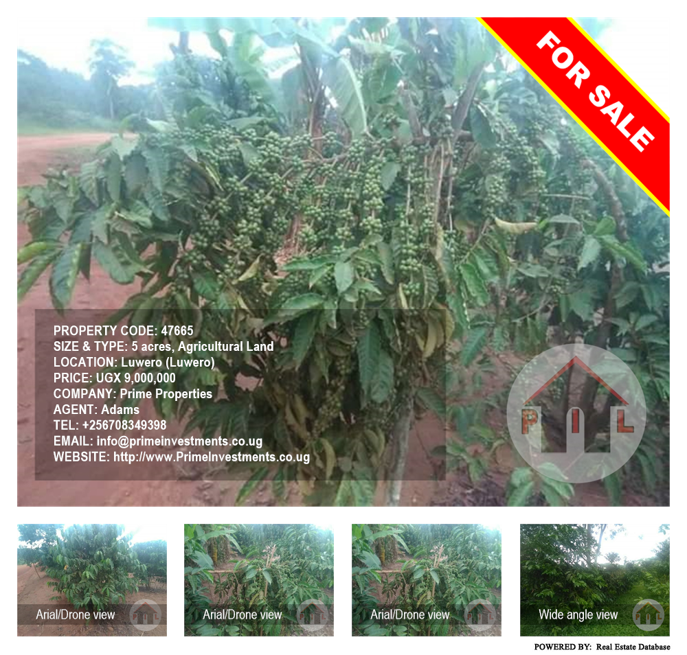 Agricultural Land  for sale in Luweero Luweero Uganda, code: 47665