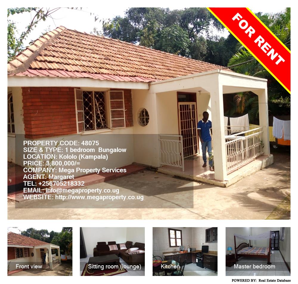 1 bedroom Bungalow  for rent in Kololo Kampala Uganda, code: 48075