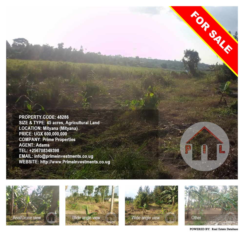 Agricultural Land  for sale in Mityana Mityana Uganda, code: 48286