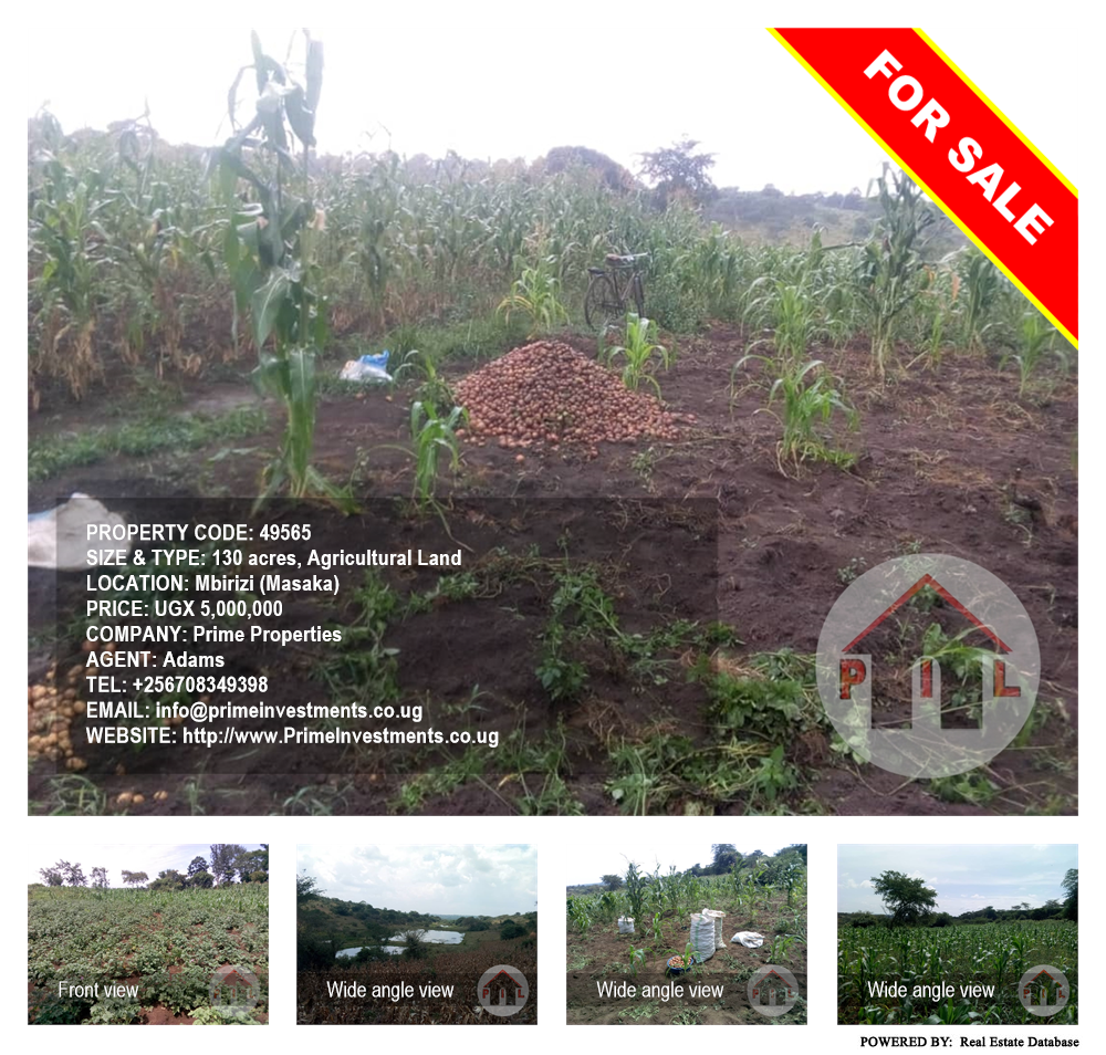 Agricultural Land  for sale in Mbilizi Masaka Uganda, code: 49565