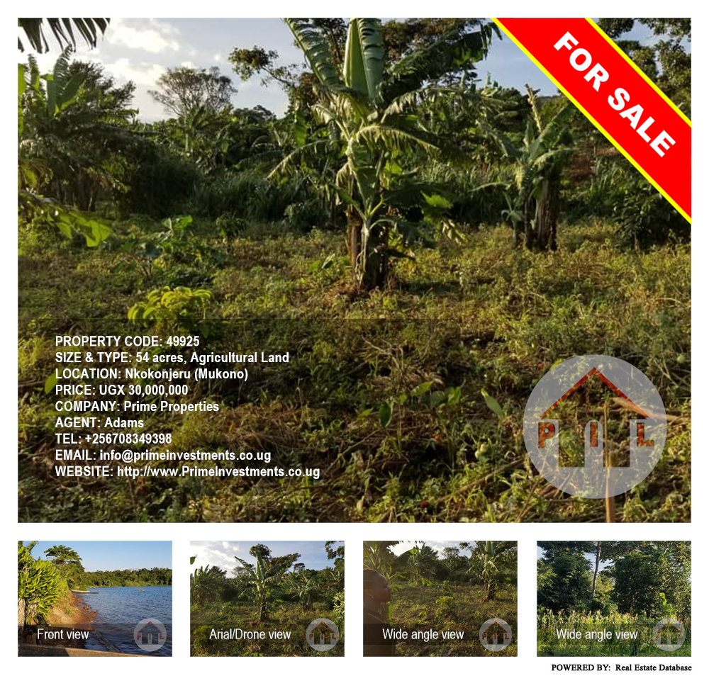 Agricultural Land  for sale in Nkokonjeru Mukono Uganda, code: 49925