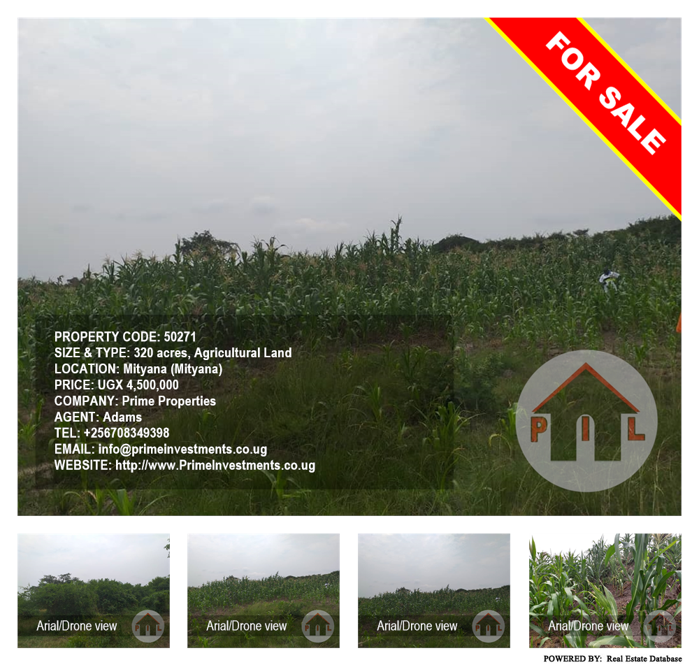 Agricultural Land  for sale in Mityana Mityana Uganda, code: 50271