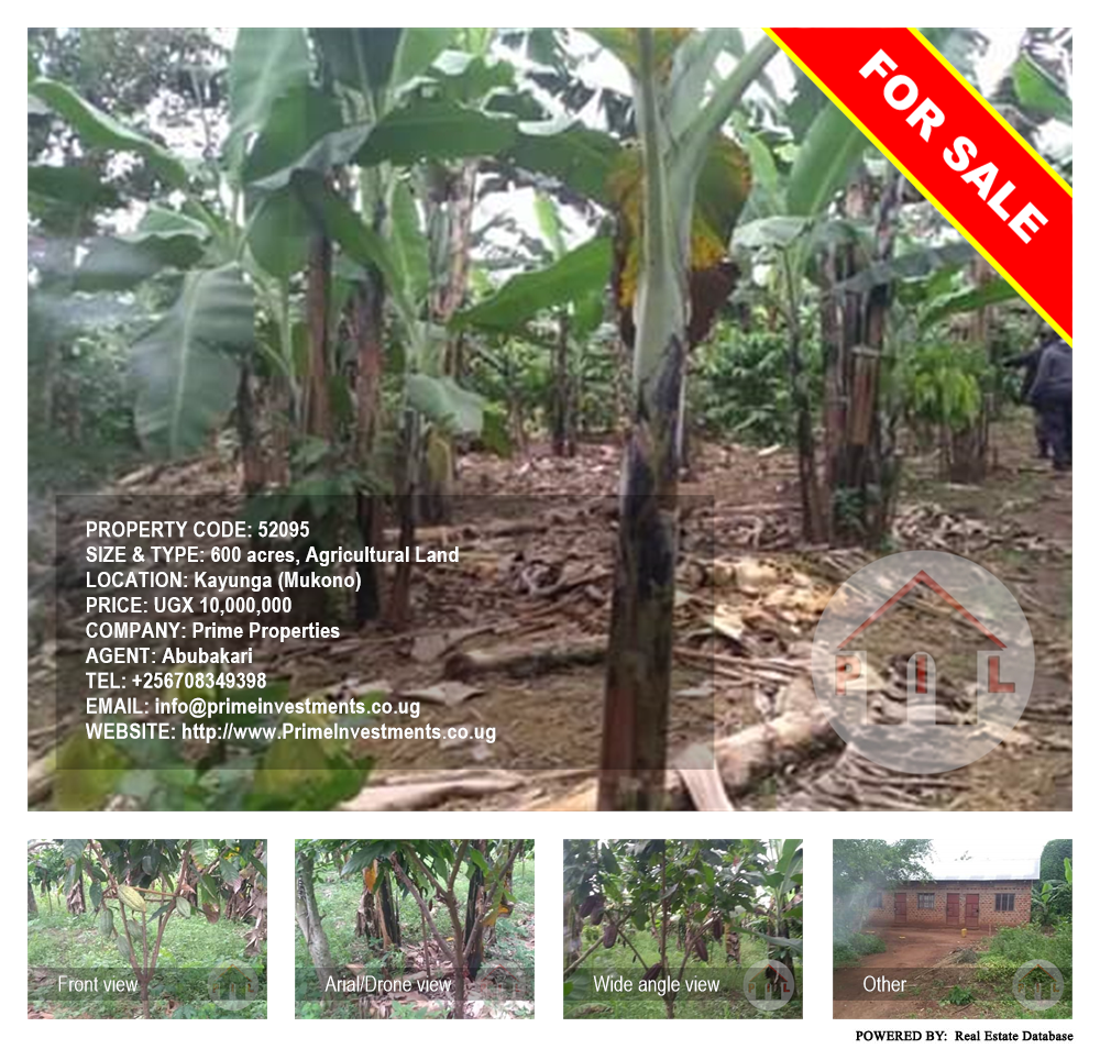 Agricultural Land  for sale in Kayunga Mukono Uganda, code: 52095