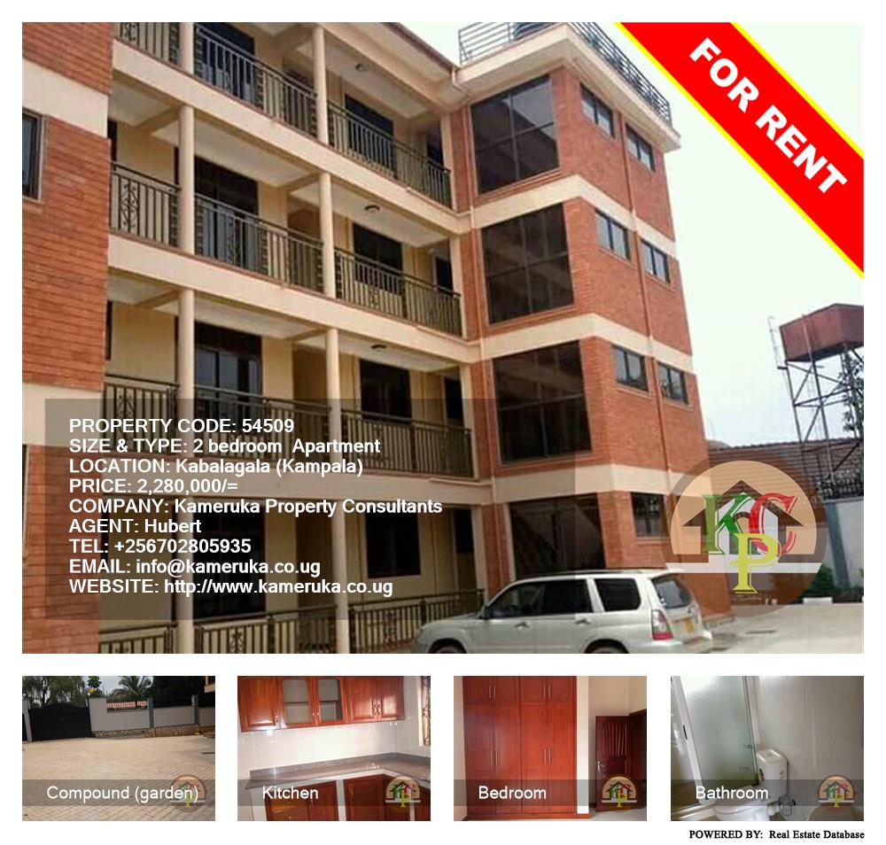 2 bedroom Apartment  for rent in Kabalagala Kampala Uganda, code: 54509