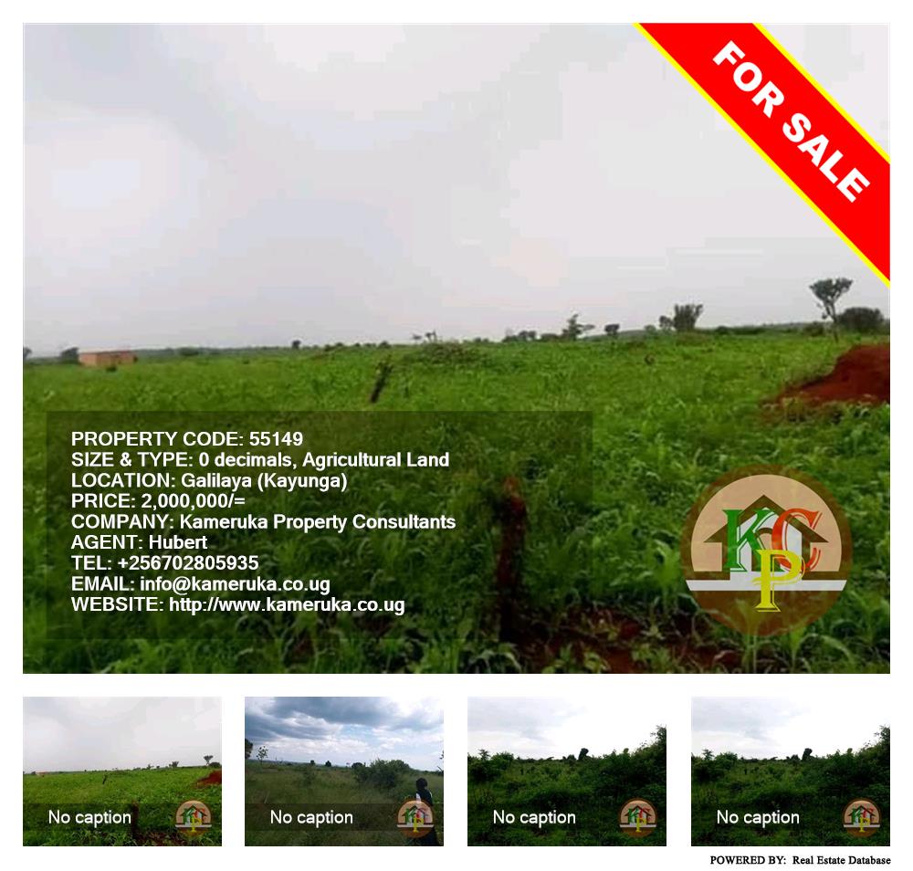 Agricultural Land  for sale in Galilaya Kayunga Uganda, code: 55149