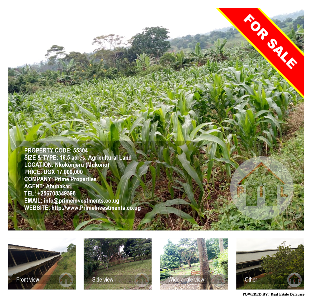Agricultural Land  for sale in Nkokonjeru Mukono Uganda, code: 55304