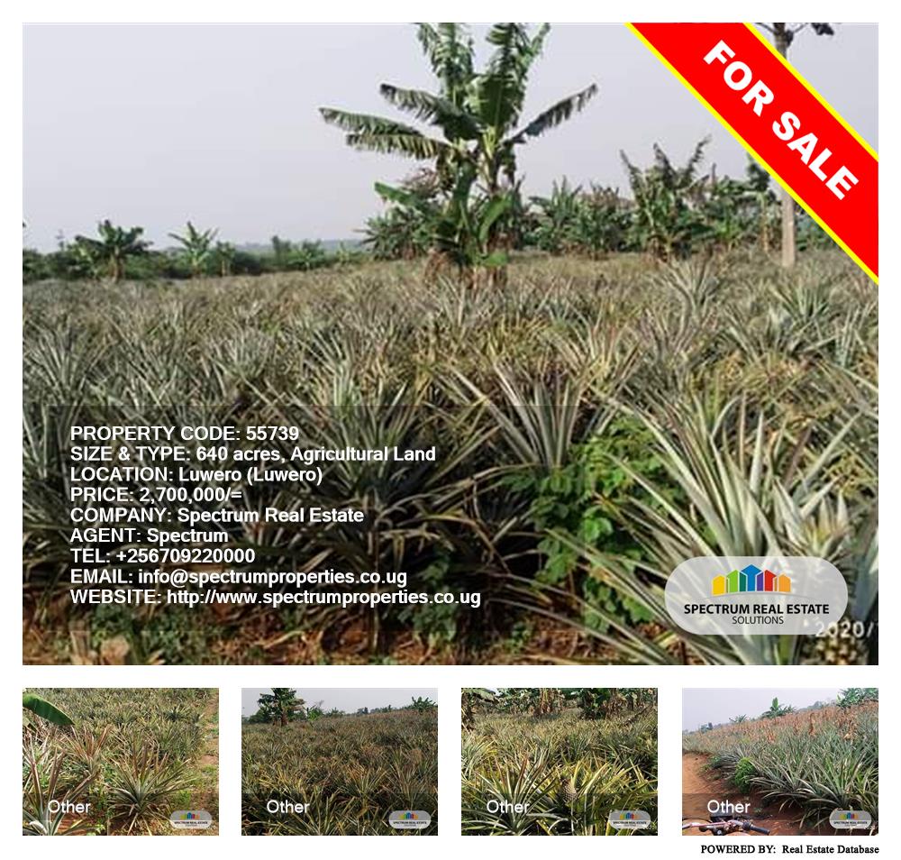 Agricultural Land  for sale in Luweero Luweero Uganda, code: 55739