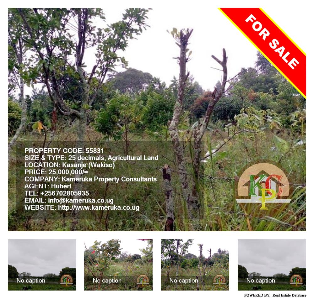 Agricultural Land  for sale in Kasanjje Wakiso Uganda, code: 55831