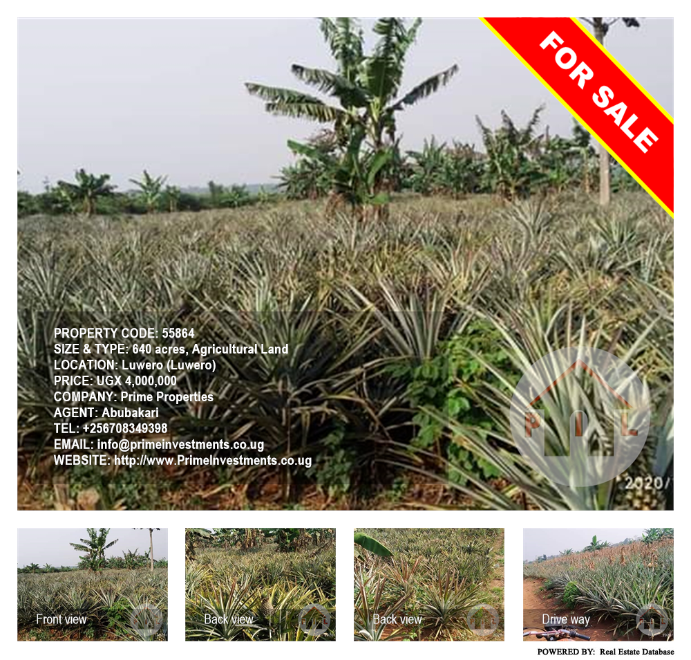 Agricultural Land  for sale in Luweero Luweero Uganda, code: 55864