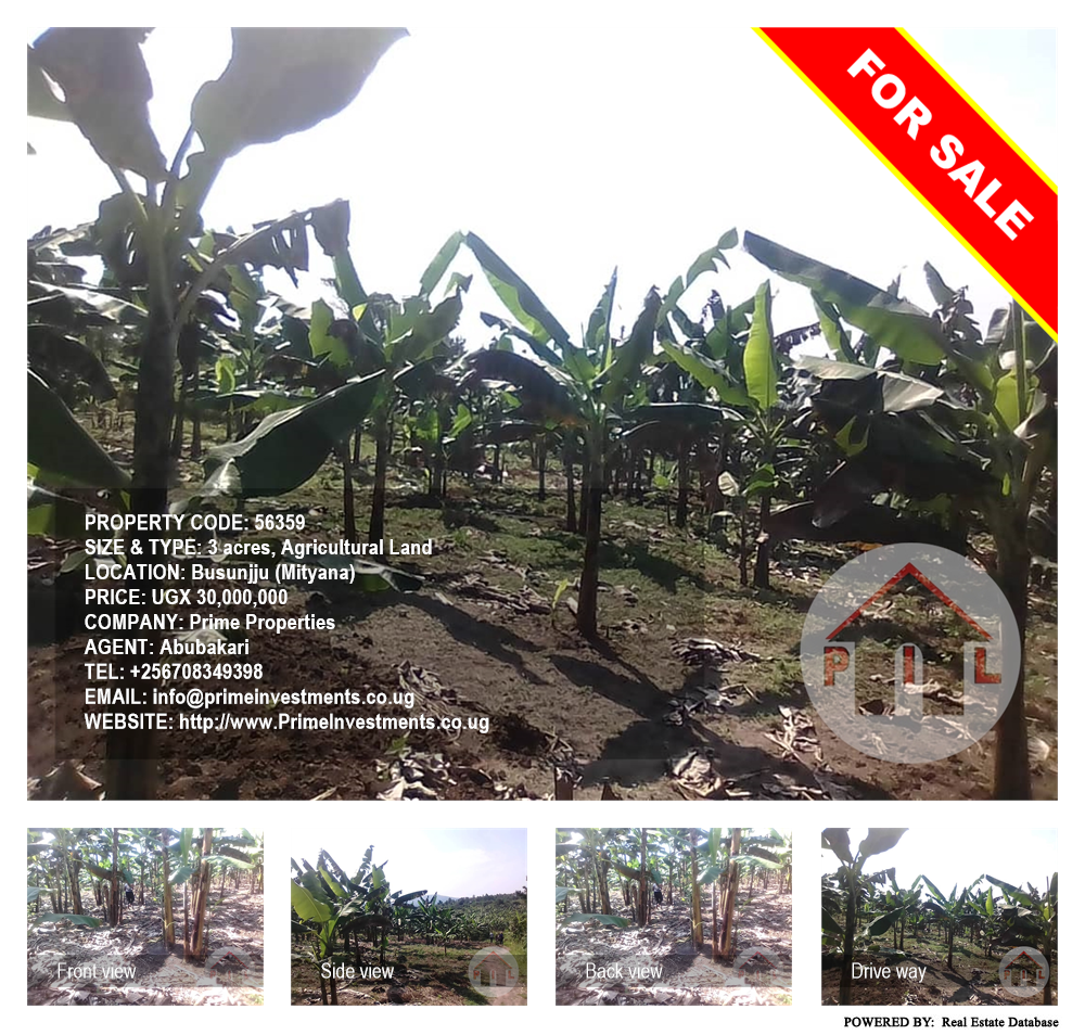 Agricultural Land  for sale in Busunjju Mityana Uganda, code: 56359