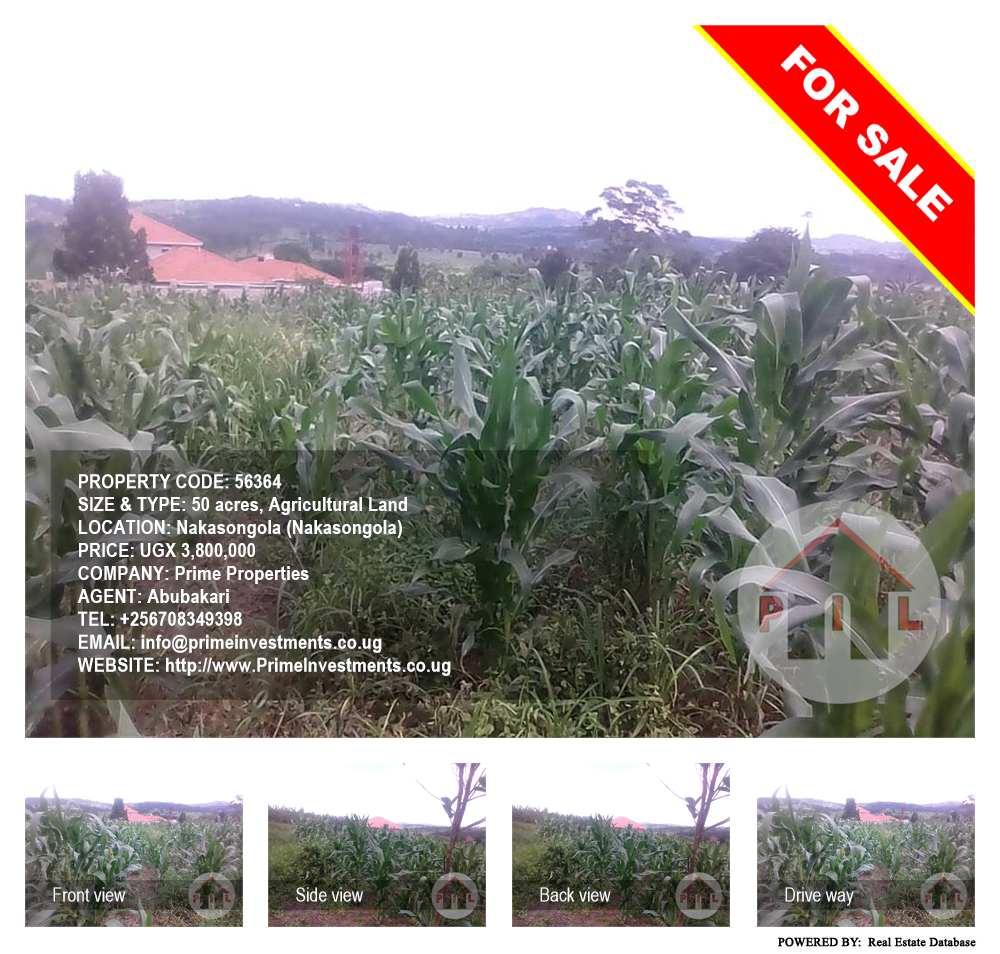 Agricultural Land  for sale in Nakasongola Nakasongola Uganda, code: 56364