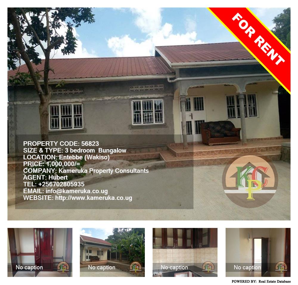 3 bedroom Bungalow  for rent in Entebbe Wakiso Uganda, code: 56823
