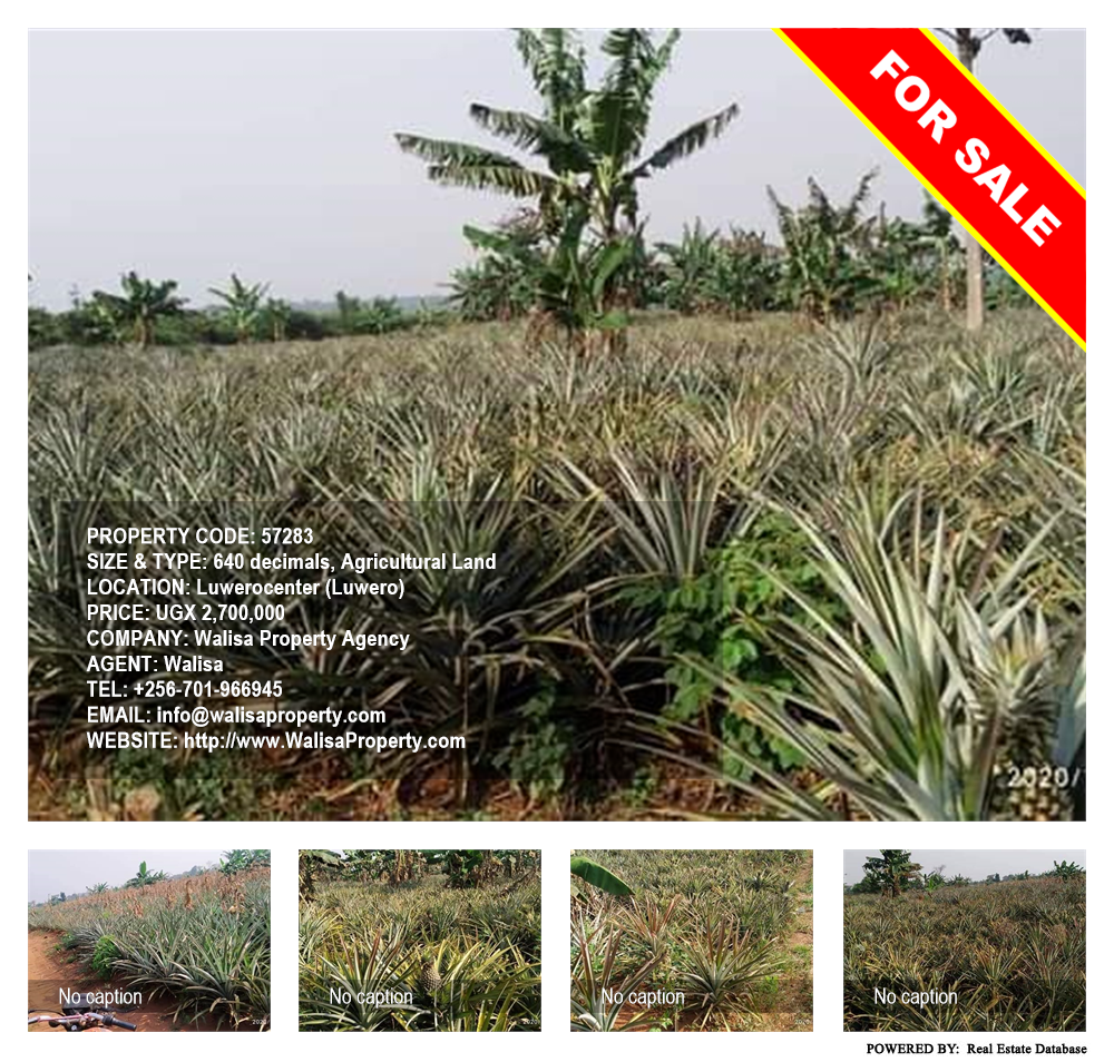 Agricultural Land  for sale in Luweero Luweero Uganda, code: 57283