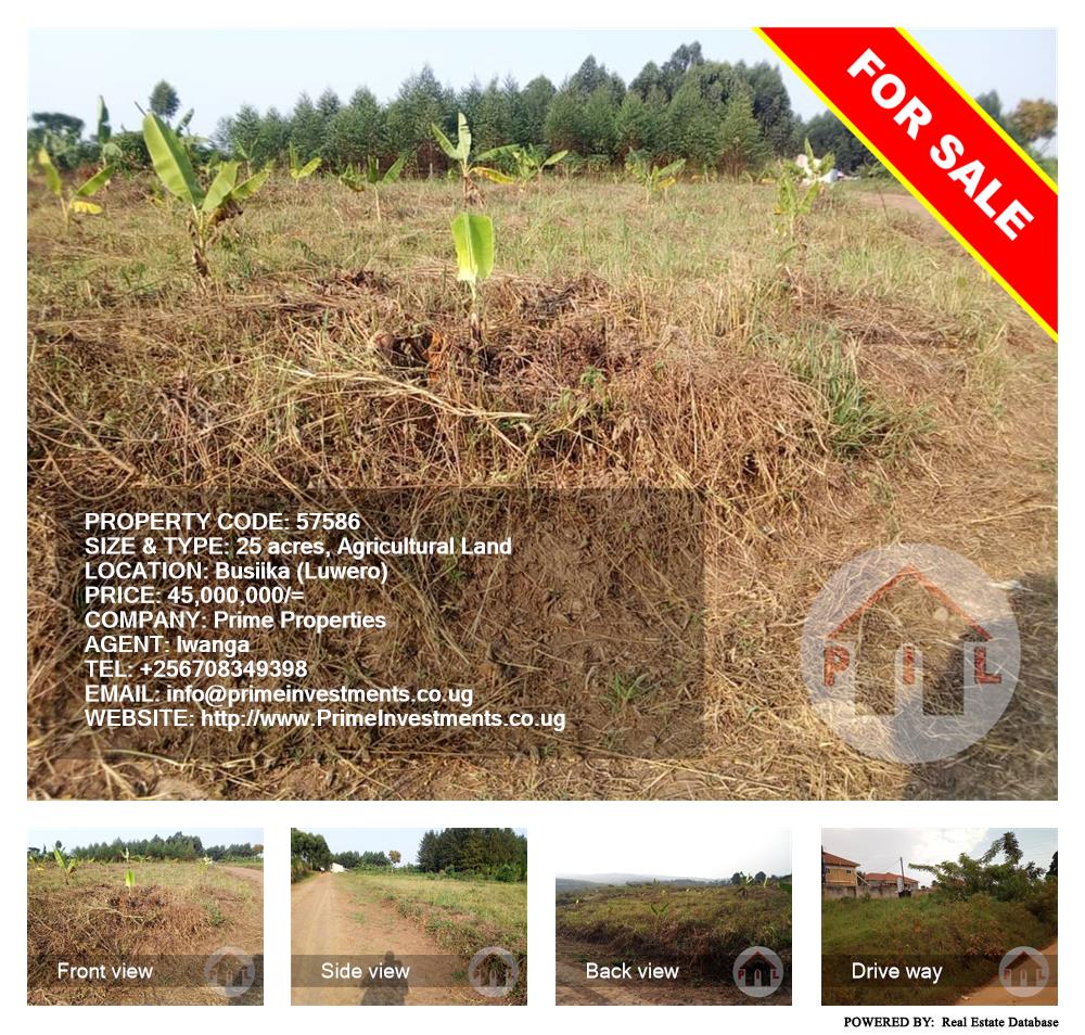 Agricultural Land  for sale in Busiika Luweero Uganda, code: 57586