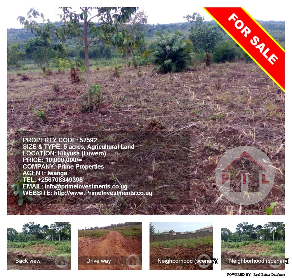 Agricultural Land  for sale in Kikyuusa Luweero Uganda, code: 57592