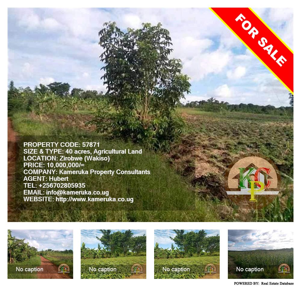 Agricultural Land  for sale in Ziloobwe Wakiso Uganda, code: 57871