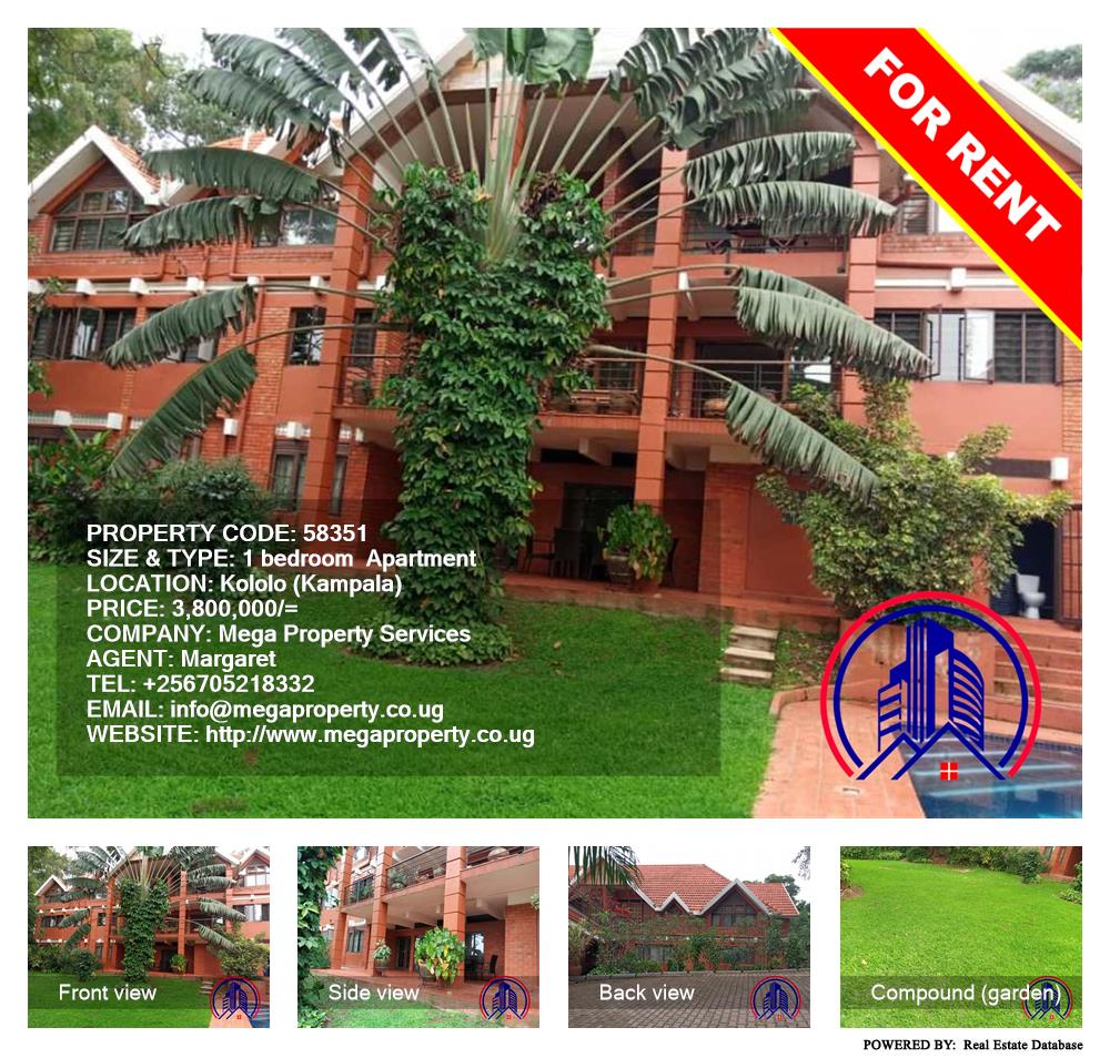 1 bedroom Apartment  for rent in Kololo Kampala Uganda, code: 58351