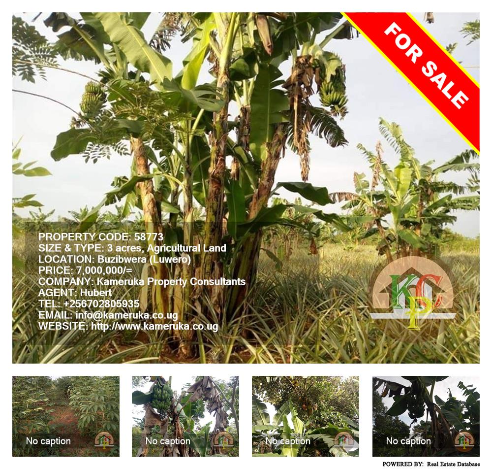 Agricultural Land  for sale in Buzibwela Luweero Uganda, code: 58773