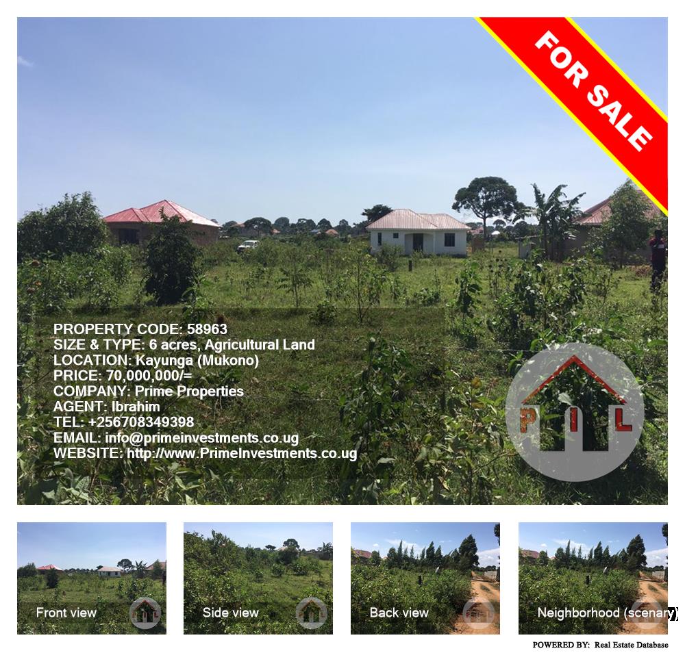 Agricultural Land  for sale in Kayunga Mukono Uganda, code: 58963