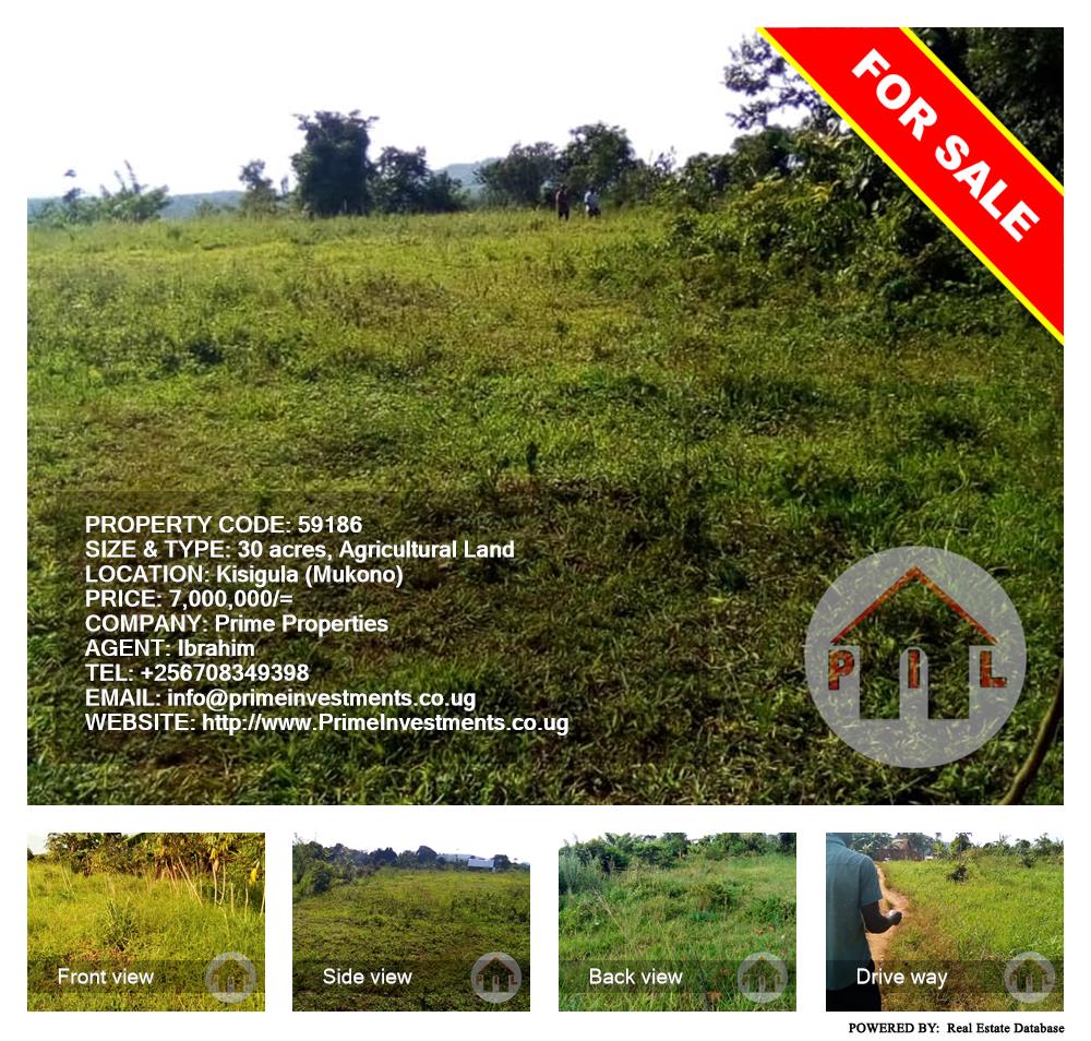 Agricultural Land  for sale in Kisigula Mukono Uganda, code: 59186