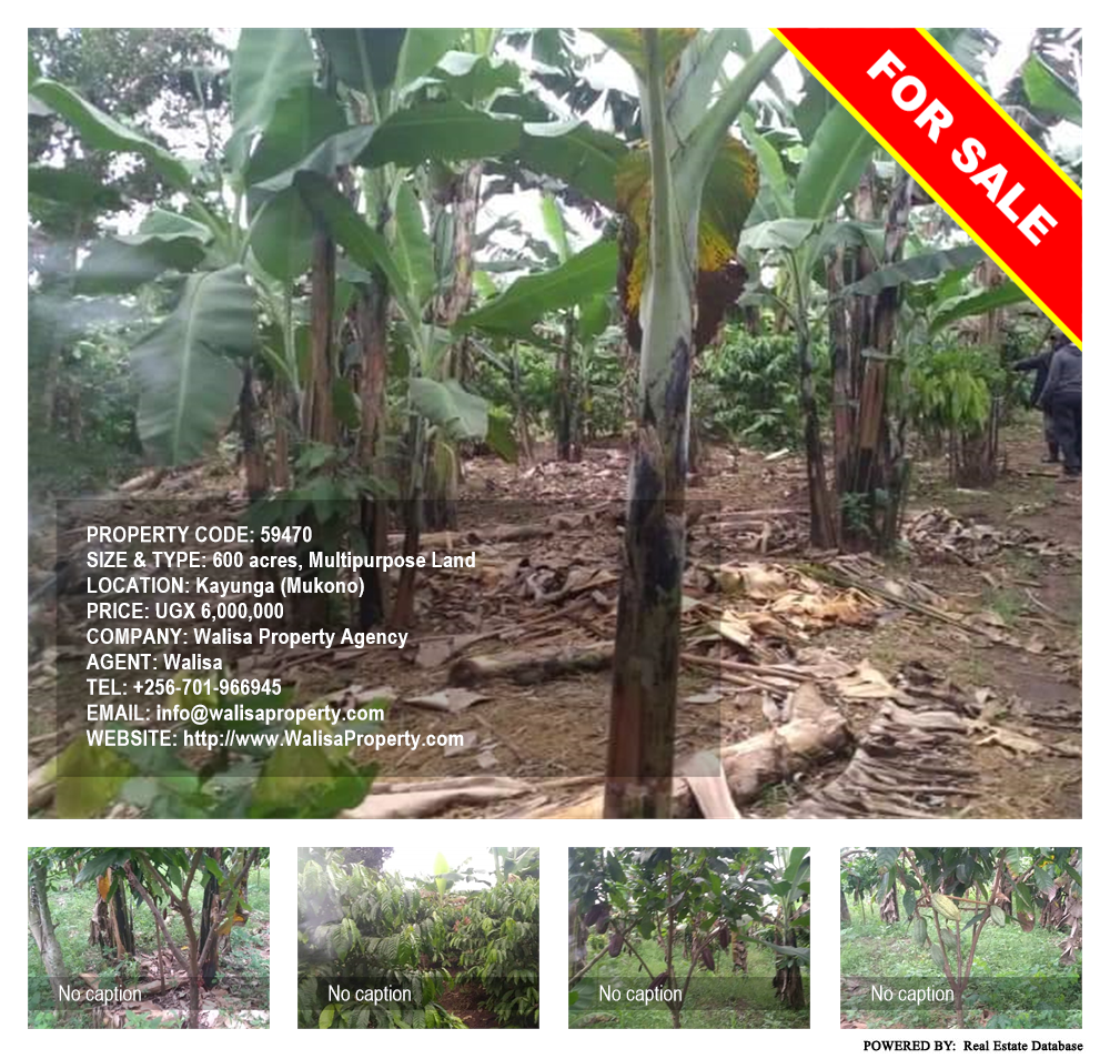 Multipurpose Land  for sale in Kayunga Mukono Uganda, code: 59470