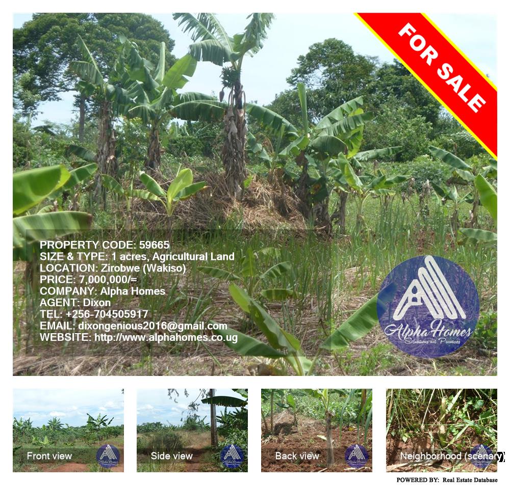 Agricultural Land  for sale in Ziloobwe Wakiso Uganda, code: 59665