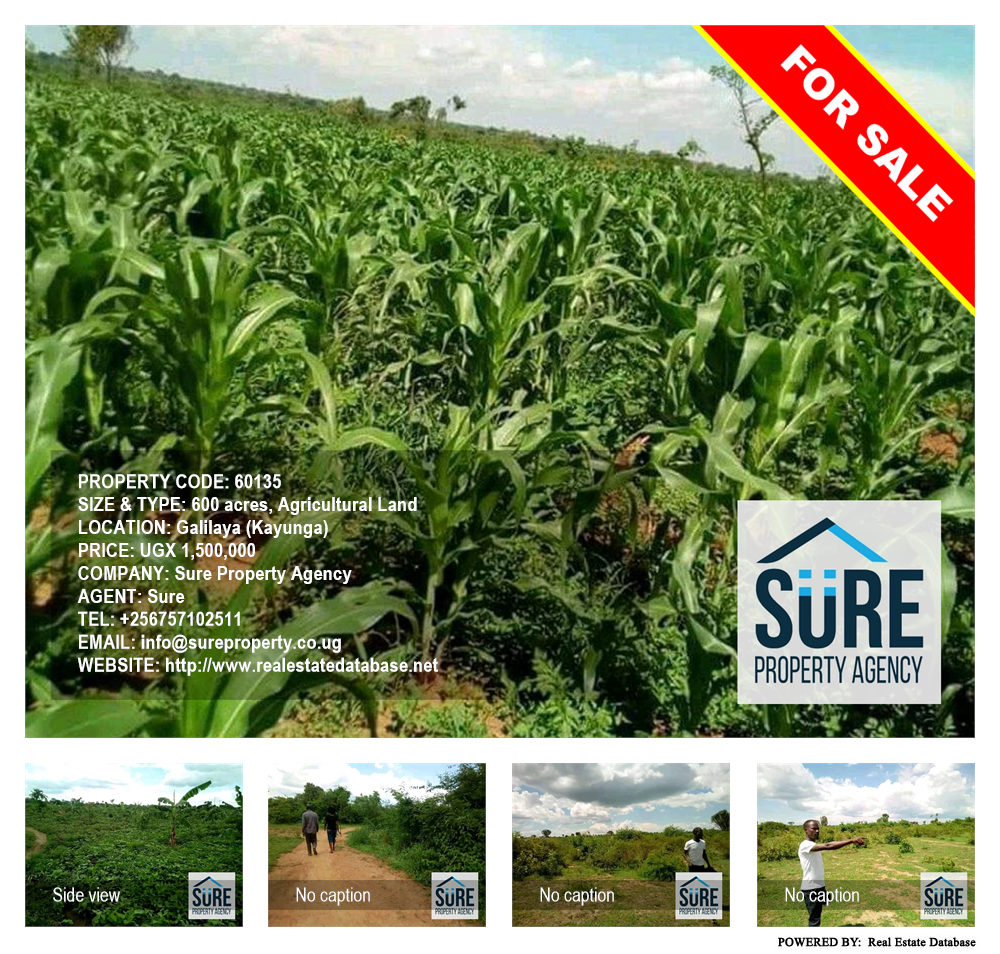 Agricultural Land  for sale in Galilaya Kayunga Uganda, code: 60135