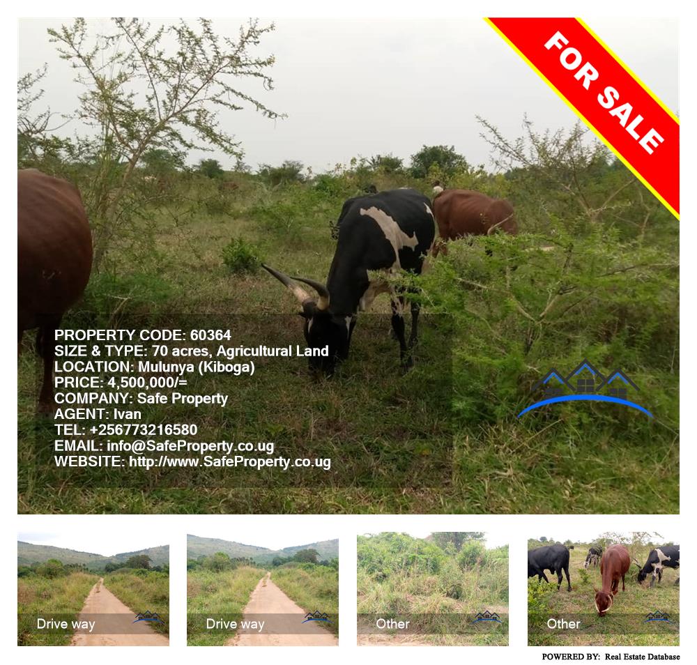 Agricultural Land  for sale in Mulunya Kiboga Uganda, code: 60364