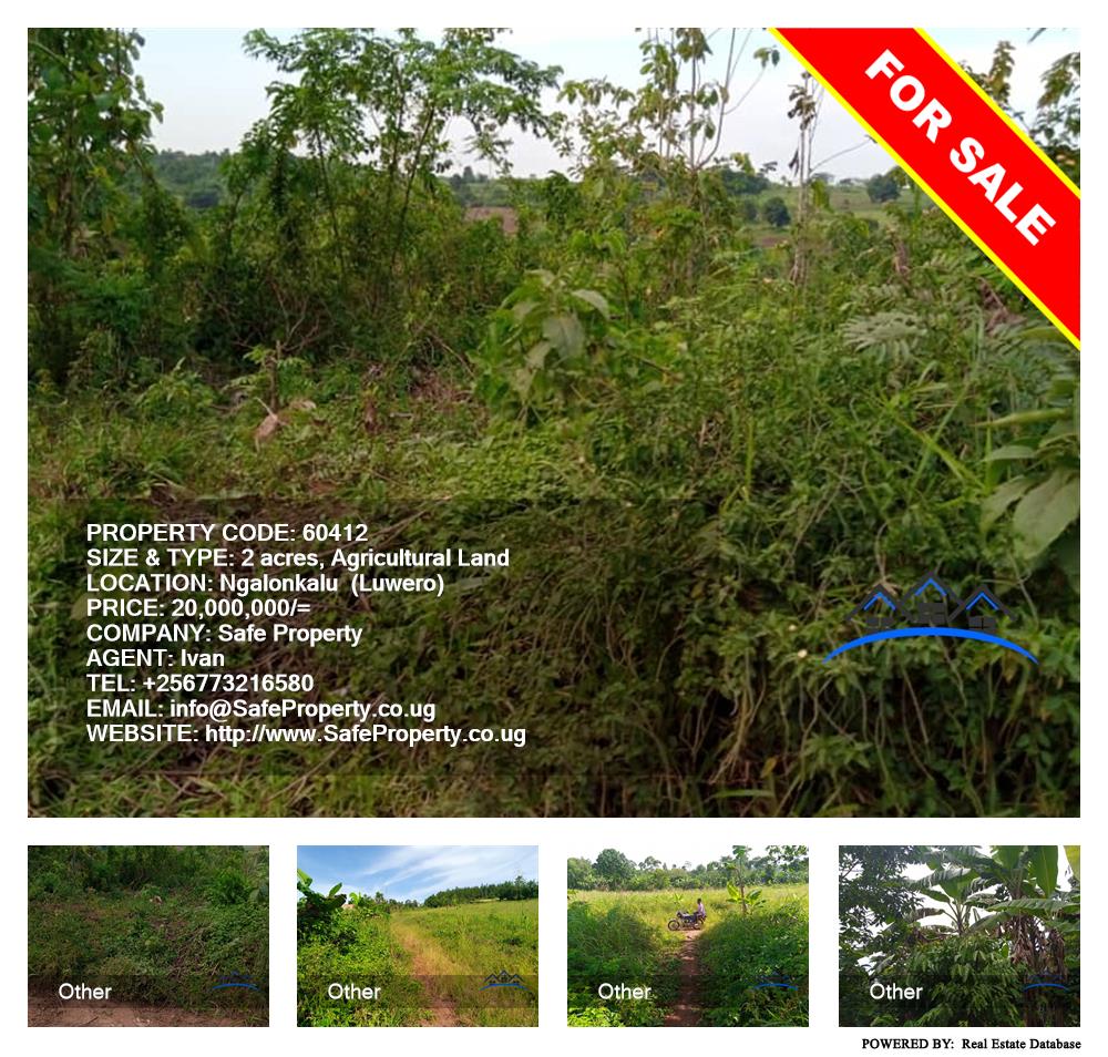 Agricultural Land  for sale in Ngalonkalu Luweero Uganda, code: 60412
