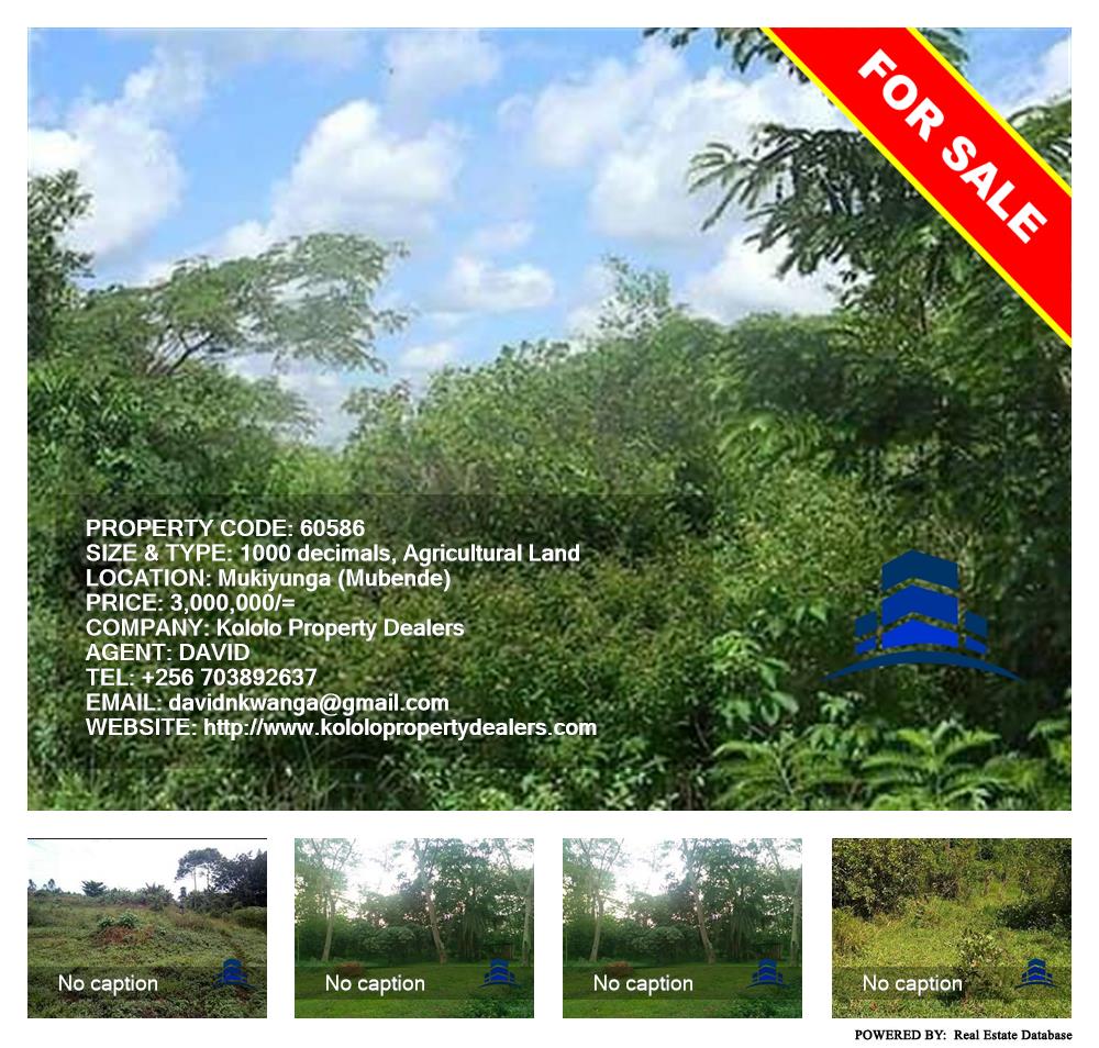 Agricultural Land  for sale in Mukiyunga Mubende Uganda, code: 60586