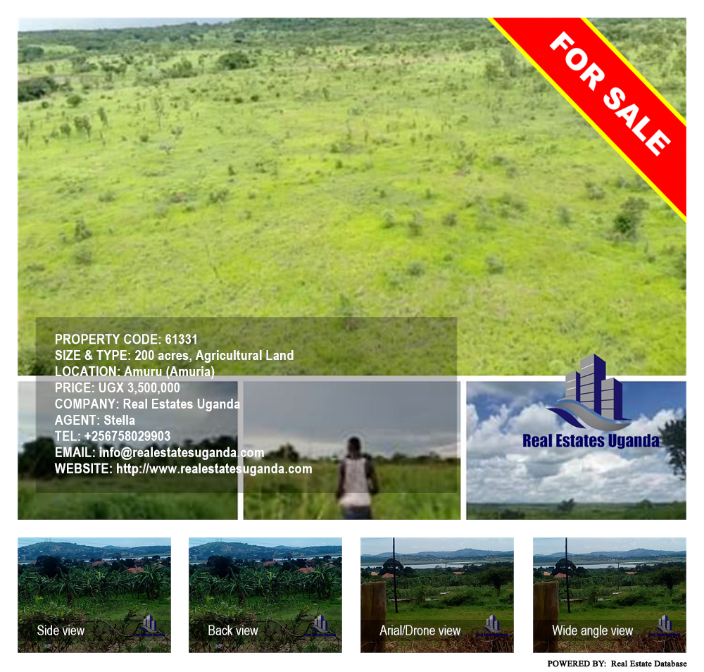 Agricultural Land  for sale in Amuru Amuria Uganda, code: 61331