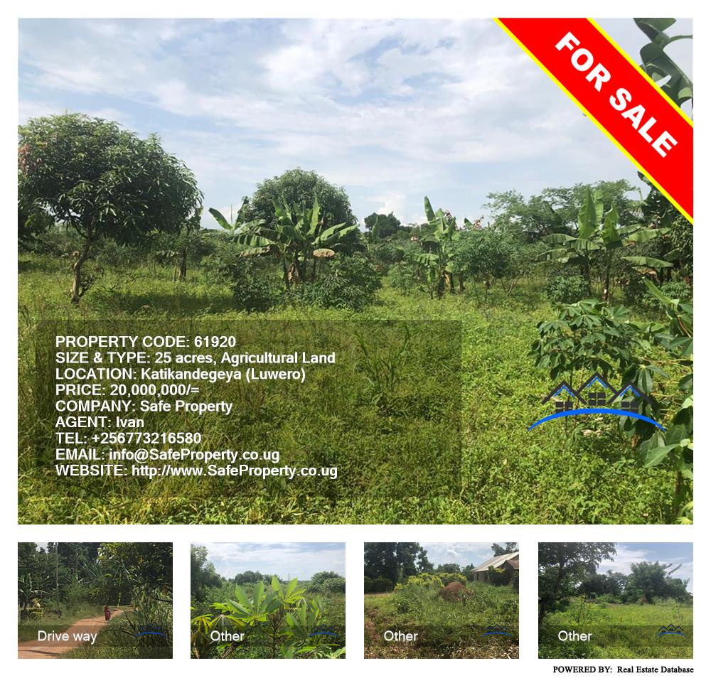 Agricultural Land  for sale in Katikandegeya Luweero Uganda, code: 61920