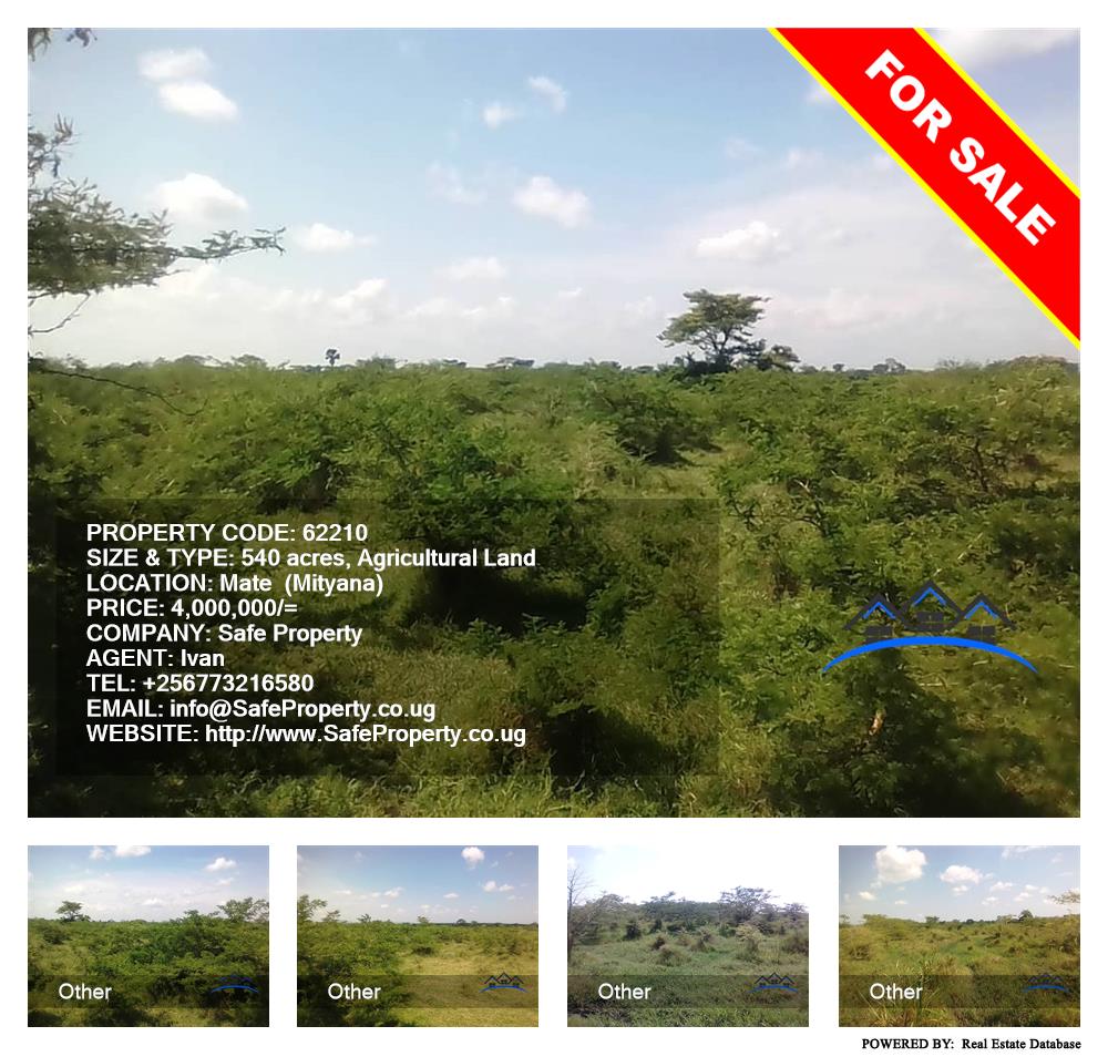 Agricultural Land  for sale in Mate Mityana Uganda, code: 62210