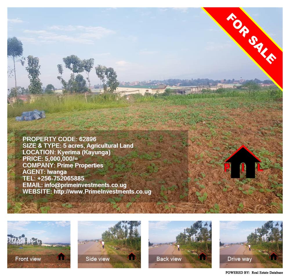 Agricultural Land  for sale in Kyerima Kayunga Uganda, code: 62896