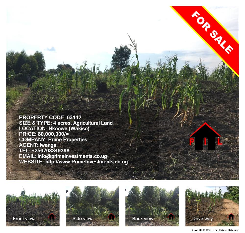 Agricultural Land  for sale in Nkoowe Wakiso Uganda, code: 63142