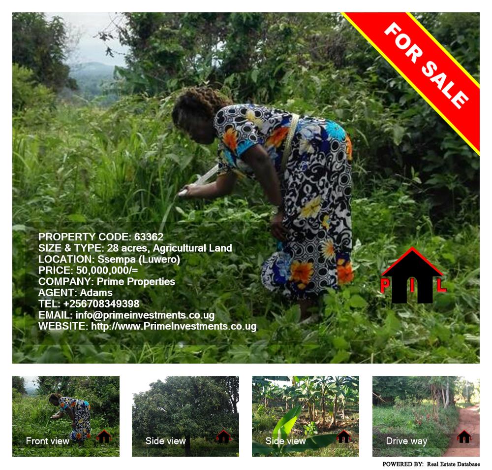 Agricultural Land  for sale in Ssempa Luweero Uganda, code: 63362
